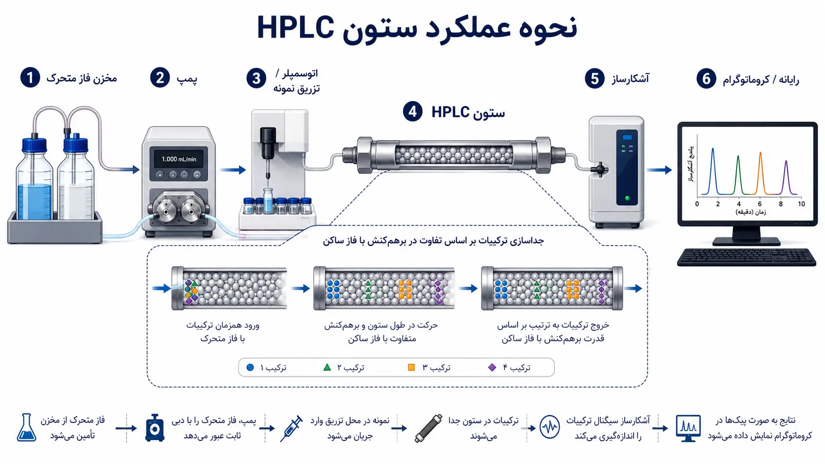 نحوه عملکرد ستون HPLC و فرآیند جداسازی ترکیبات اینفوگرافیک نحوه عملکرد ستون HPLC شامل مخزن فاز متحرک، پمپ، تزریق نمونه، ستون، آشکارساز و خروجی کروماتوگرام